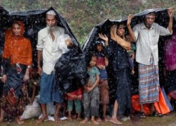 Rw Explains Rohingya Violence