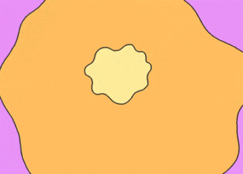 Rw Explains Why Google Celebrating Selena Quintanilla?