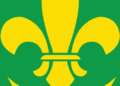 RTIwala Explains World Scouts Day