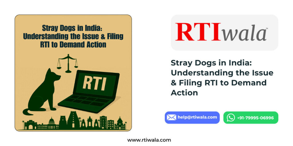 Stray Dogs in India: Understanding the Issue & Filing RTI to Demand Action