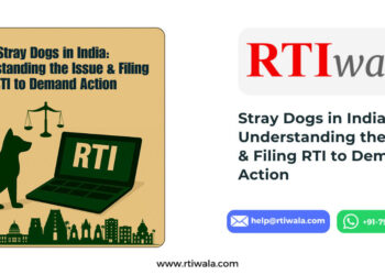 Stray Dogs in India: Understanding the Issue & Filing RTI to Demand Action